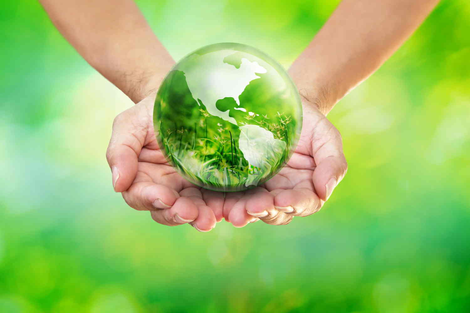 finalist for the planet saver green business of the year award