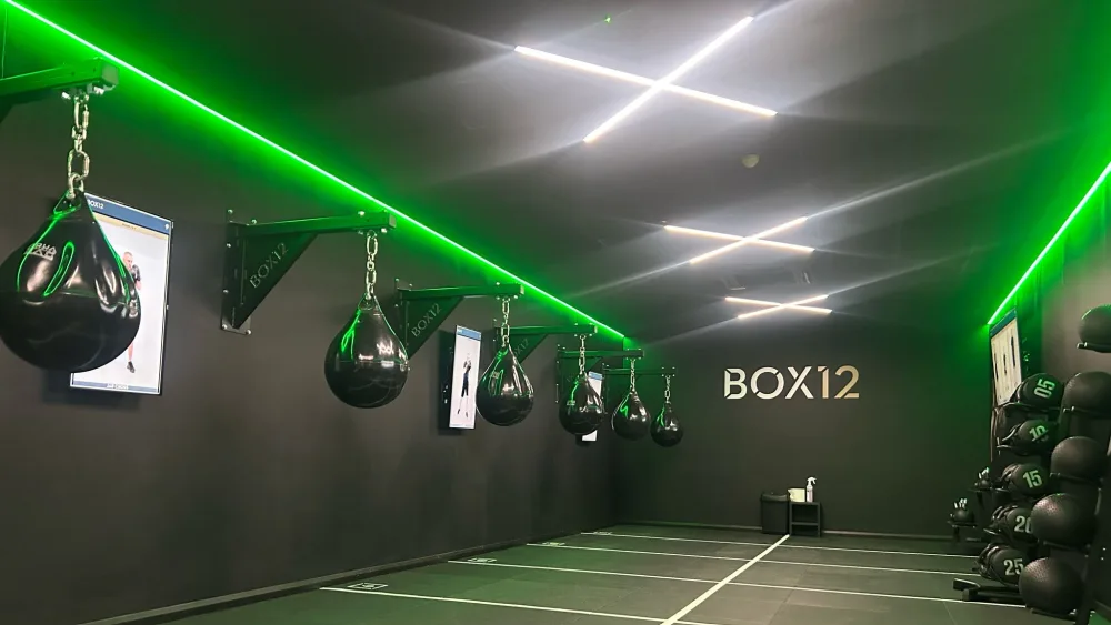 BOX12 green.11000x563